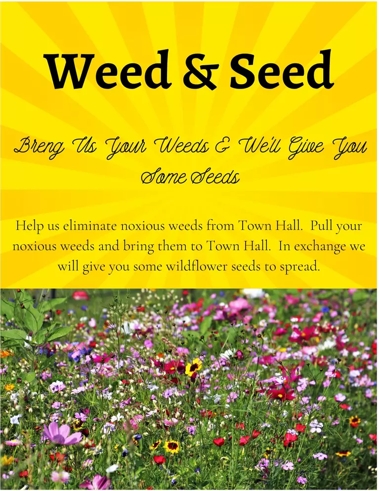 Weed & Seed